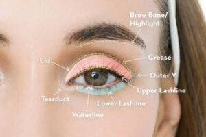 How To Apply Eyeshadow For Beginners (The Basics)