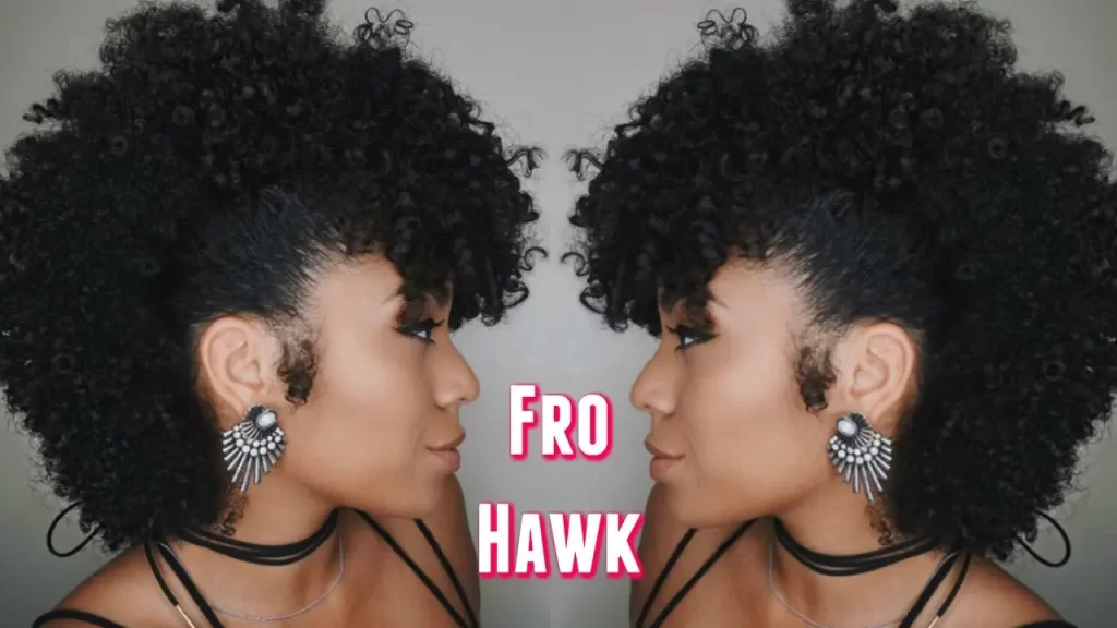 fro hawk result