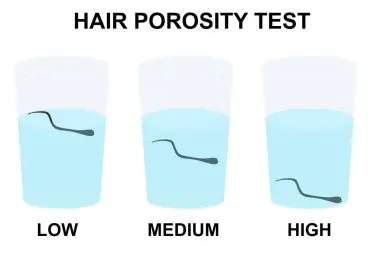 how do I know my 4C hair porosity?