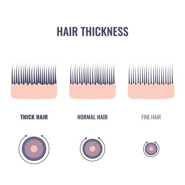 hair thickness