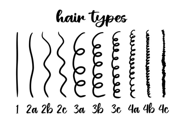 hair type chart