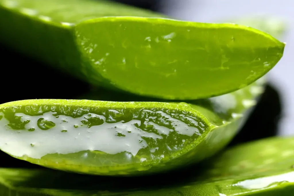 turmeric and aloe vera face mask