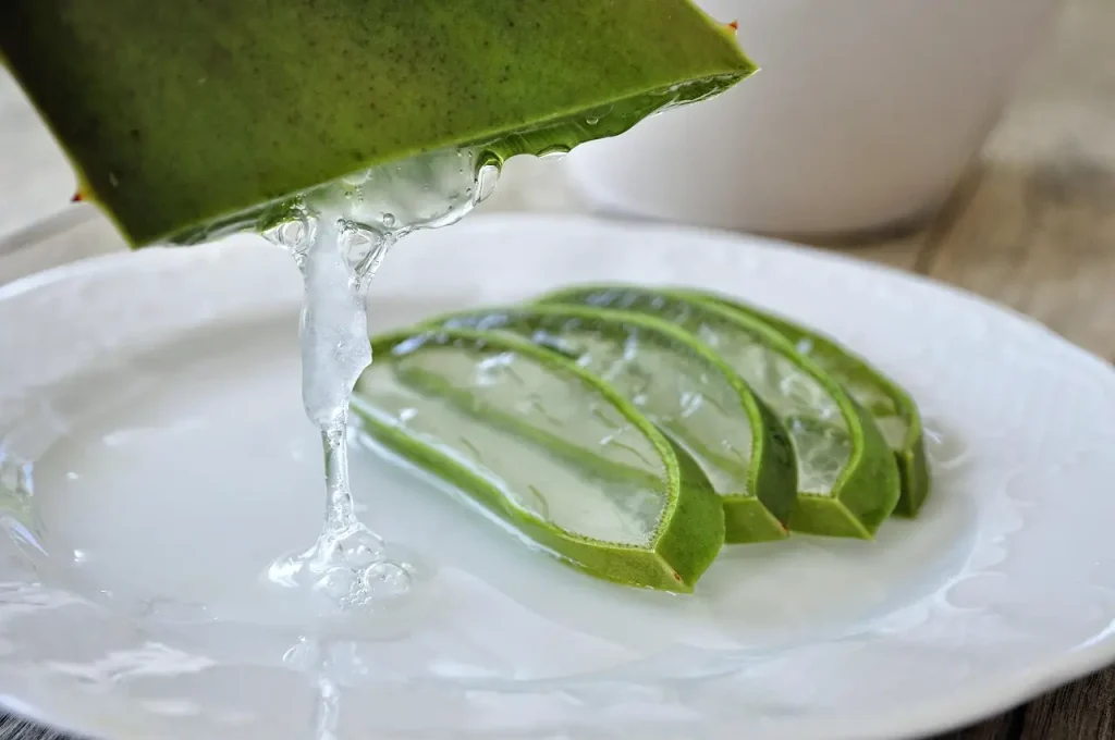 aloe 4529704 1280
