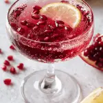 pomegranate gin fizz